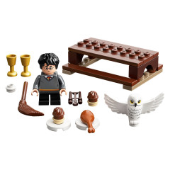 LEGO Harry Potter 30420 Harry Potter a Hedwiga: Sobí doručení (polybag)