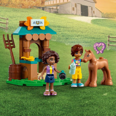 LEGO® Friends 41730  Dům Autumn