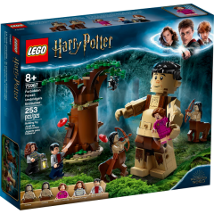 LEGO Harry Potter 75967 Zapovězený les: Setkání Drápa a profesorky Umbridgeové