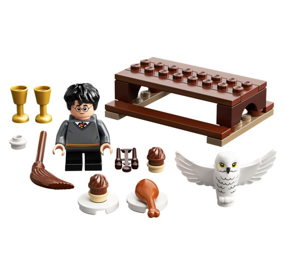 LEGO Harry Potter 30420 Harry Potter a Hedwiga: Sobí doručení (polybag)