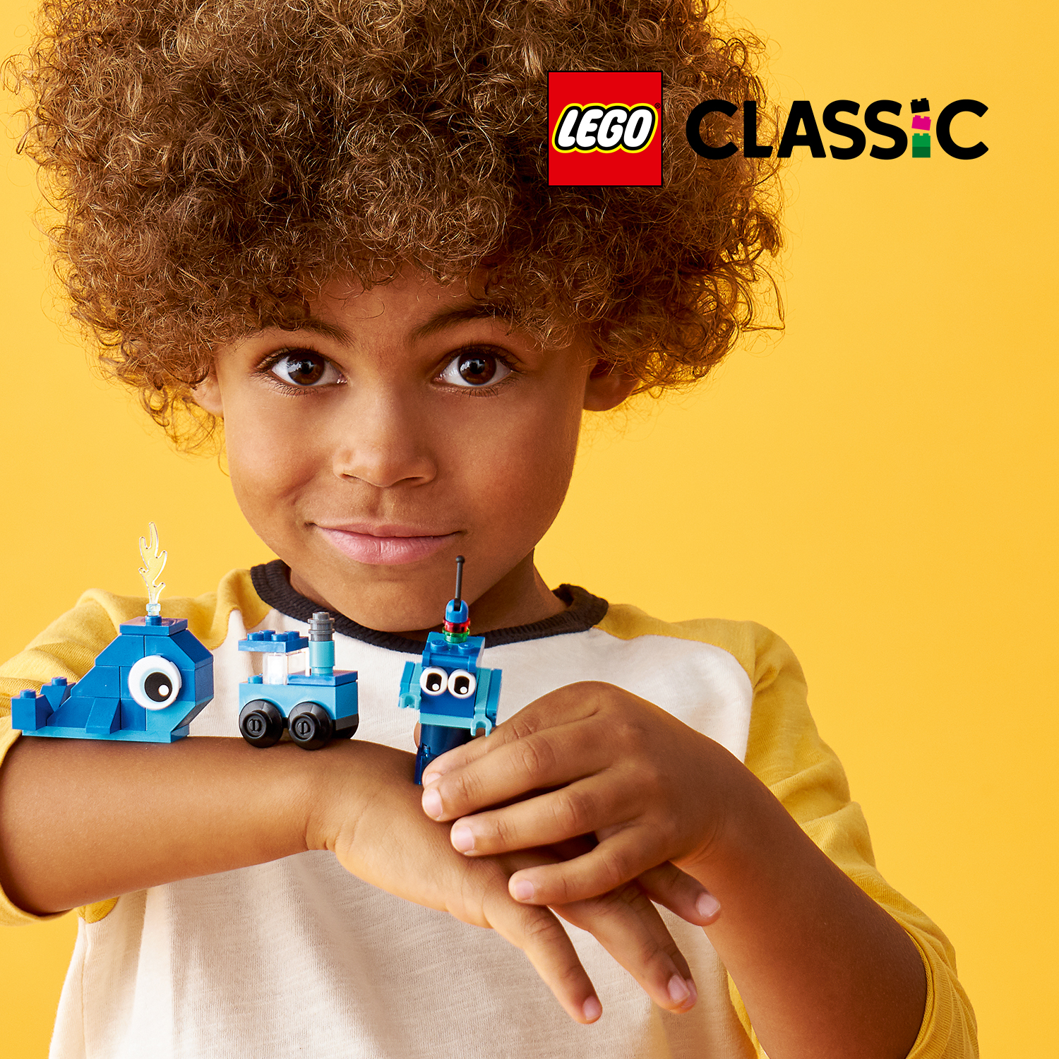 Začátečnická LEGO® sada s modrými kostkami